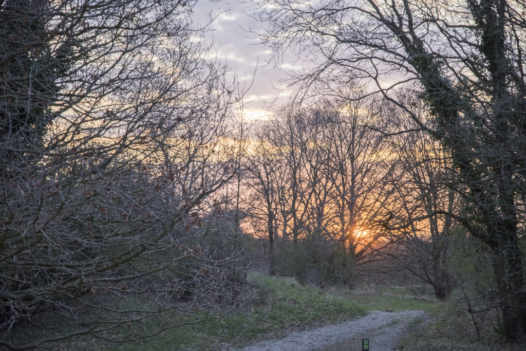 oostvoorne-IMGP1845-r-1024